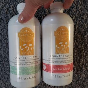 Scentsy Counter Cleaner